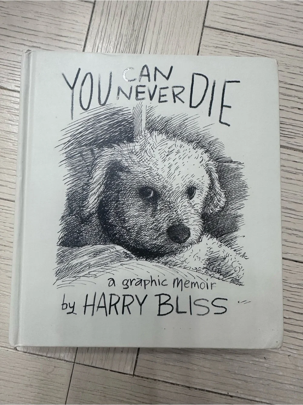 'You Can Never Die hardcover, graphic memoir by Harry Bliss